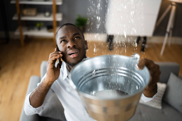 Best 24-hour water damage restoration  in Franklin, NJ