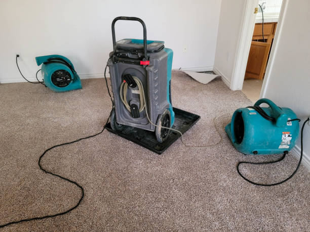 Best Water damage restoration insurance claims  in Franklin, NJ