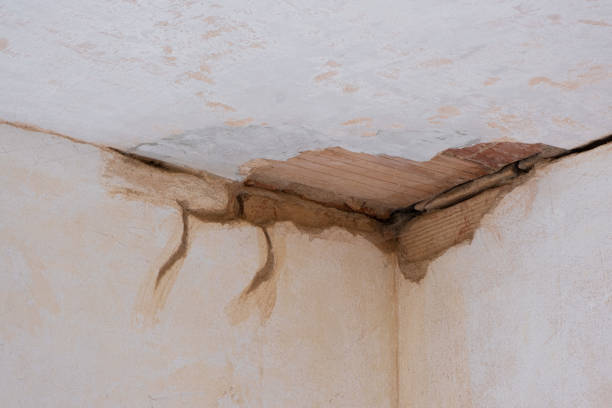 Best Water damage restoration experts  in Franklin, NJ