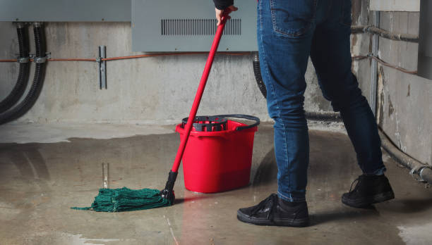 Best 24/7 water damage repair  in Franklin, NJ