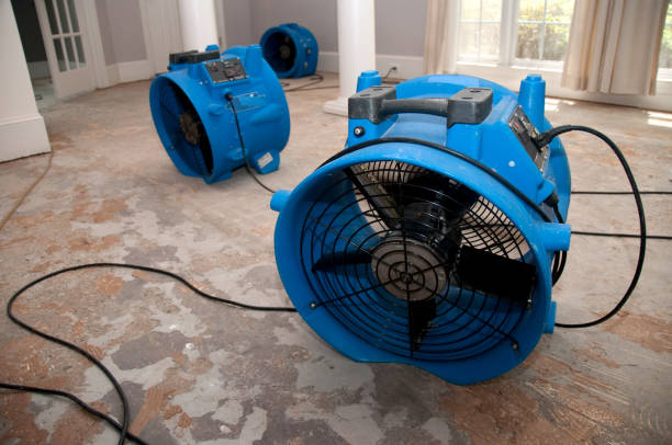 Best Basement water damage restoration  in Franklin, NJ