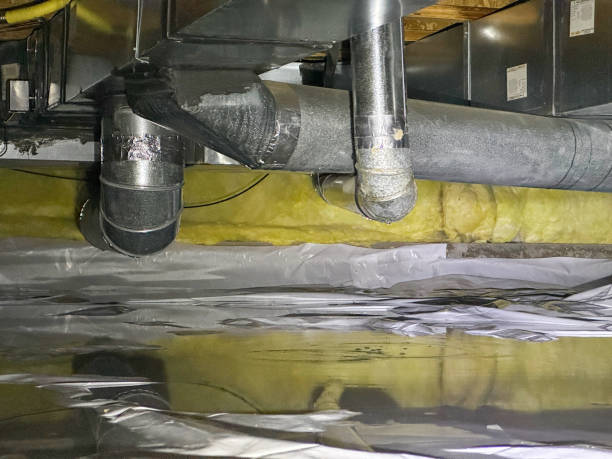 Best Professional water damage repair  in Franklin, NJ