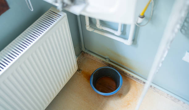 Best Basement water damage restoration  in Franklin, NJ