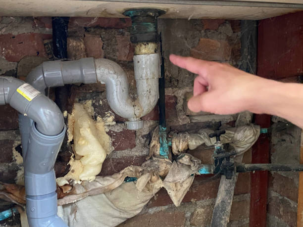 Best Carpet water damage restoration  in Franklin, NJ