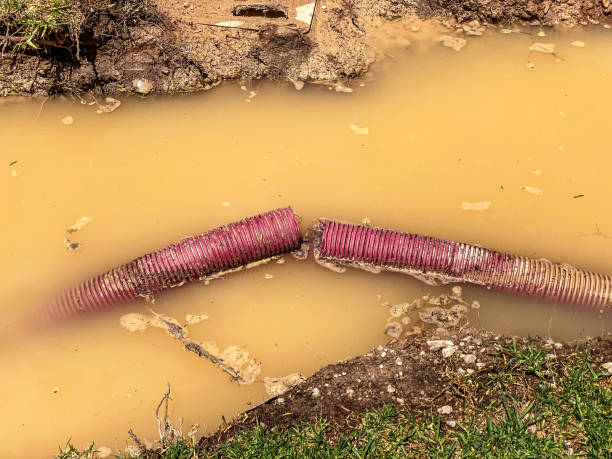 Best Sewage cleanup and water damage restoration  in Franklin, NJ