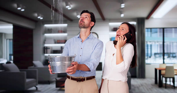 Best Residential water damage restoration  in Franklin, NJ