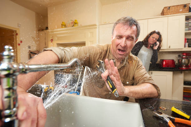 Best Basement water damage restoration  in Franklin, NJ